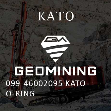 099-46002095 Уплотнительное Кольцо